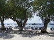 Mastichari beach - Kos