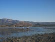 Pescatori nella palude salata di Alyki, Tigaki - Kos