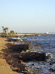 La baia di Mastichari